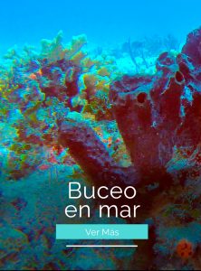 tours de buceo, aventuras de buceo, buceo en el mar