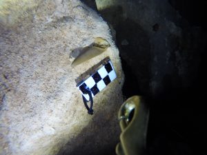 cenotes en yucatán