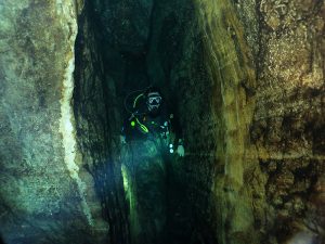 cenotes en yucatán