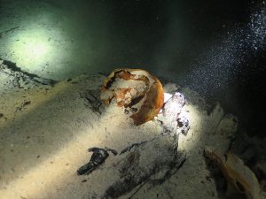 cenotes en yucatán