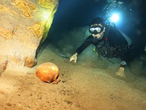 cenotes en yucatán