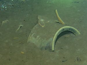 cenotes en yucatán