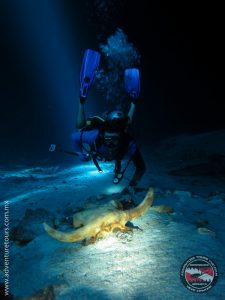 cenotes en yucatán