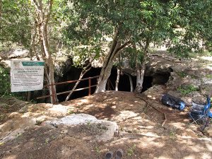 cenotes en yucatán