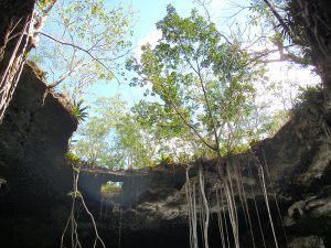 cenotes en yucatán