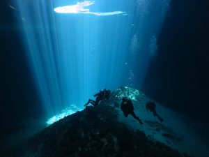 cenotes en yucatán